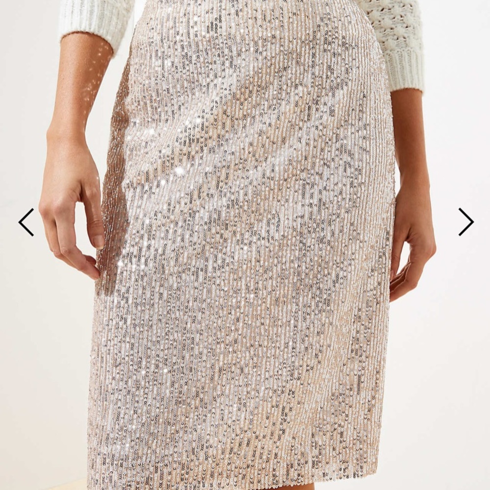 NWT champagne sequin pencil skirt. Size 6